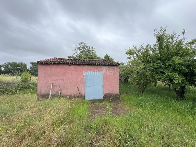 Foto d2f3c111-227b-40d2-87c6-640956eed8ca. Maison dans Candeleda