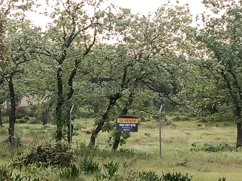 Foto ee3eba80-080e-416f-9592-e1b3e4cb7256. Finca rústica a subdelimitado iii poligono 17 a Candeleda