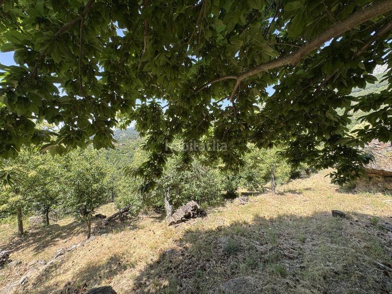 Foto 5882b098-aea6-4b1b-b563-53a73eb682ee. Masia a Arenal (El)