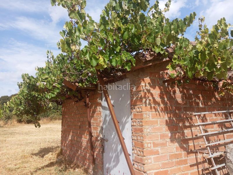 Foto 2e2f1620-bb9b-41ca-9313-0469184d6168. Finca rústica a Arenas de San Pedro