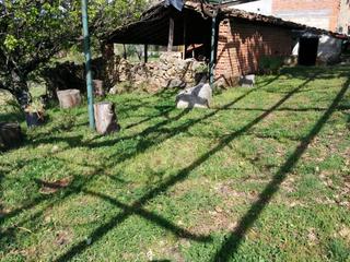 Finca rústica en Candeleda. Terreno en robledillo