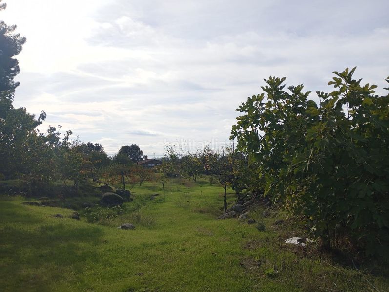 Foto 088728f1-6b7e-466c-a217-dd132f2f0493. Finca rústica parcela en el carrascal en Candeleda