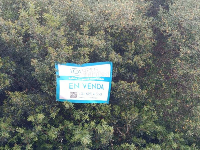 Foto 150ac7de-ee97-4745-ae85-92e3fe7a09d8. Terreny residencial a Olivella
