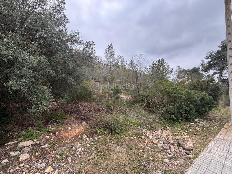 Foto 22b2cf8c-cbde-420e-b71d-ae4f9ab9e418. Terreny residencial a Olivella