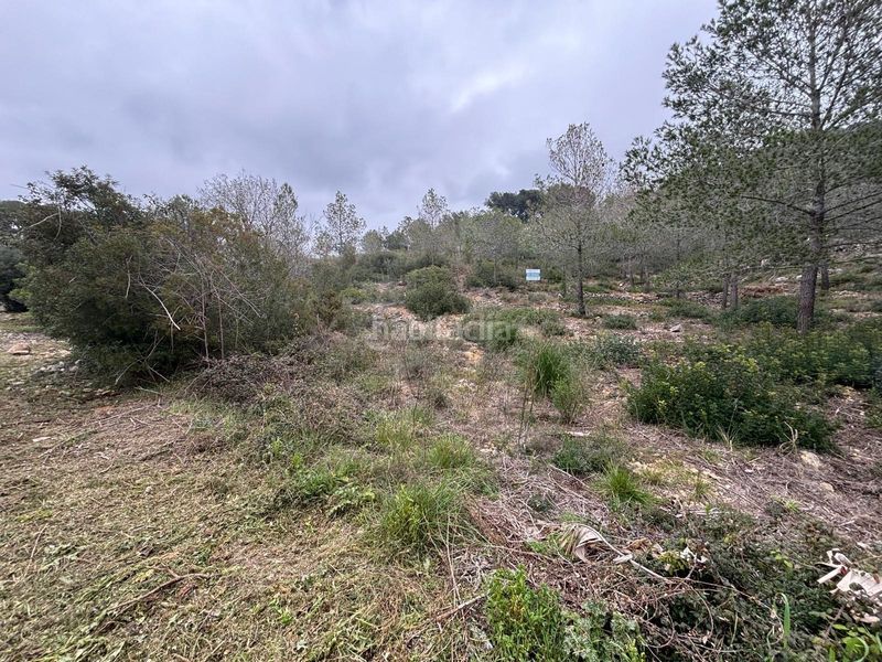 Foto 33e5eb3a-caee-4b0b-af8a-3e282ba6b286. Terreny residencial a Olivella
