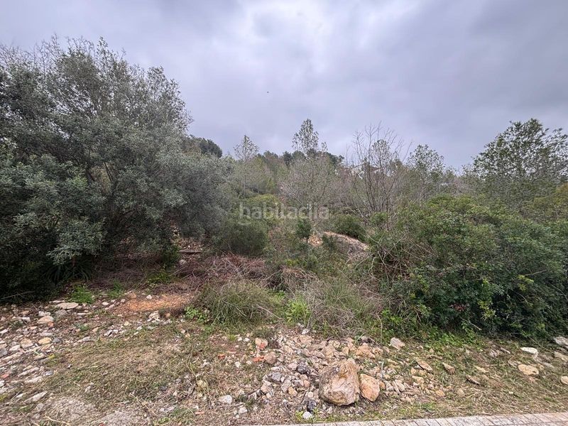 Foto 52a09820-0a26-4c0b-8ab3-fa48c972f2a4. Terreny residencial a Olivella