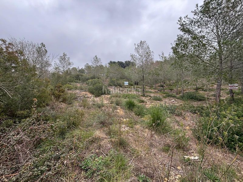 Foto 66756a18-1288-413f-930a-2cbab7adbecf. Terreny residencial a Olivella