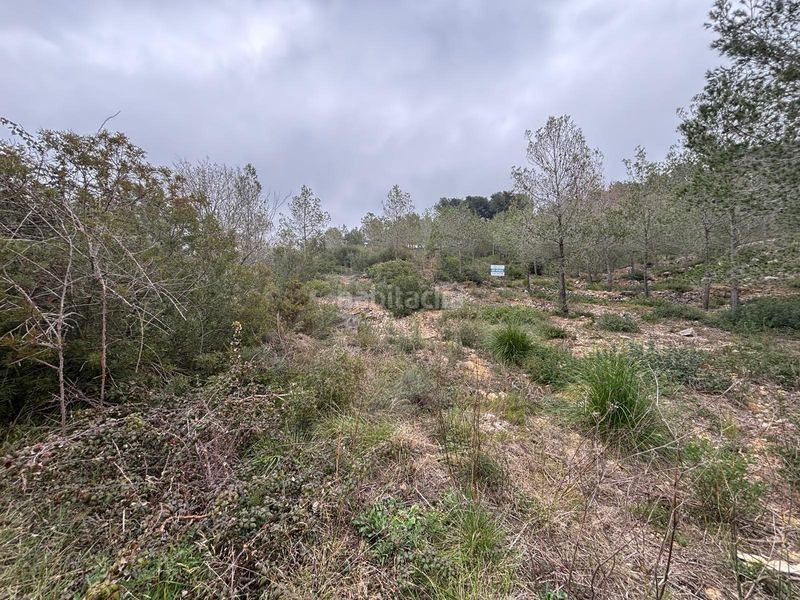 Foto 860a9612-6048-4060-b0e3-c33fd1dbc067. Terreny residencial a Olivella