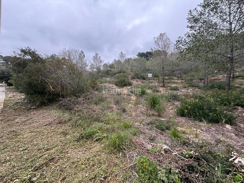 Foto 8894b0e2-36b1-45f1-b95b-84b4c85e6385. Terreny residencial a Olivella