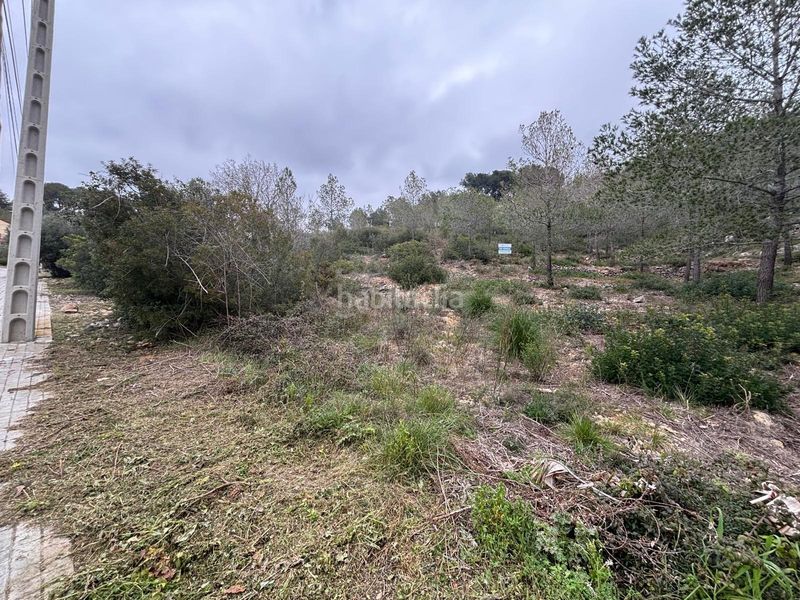 Foto 89a8eb8b-01a5-45fd-a513-7b53317758e9. Terreny residencial a Olivella