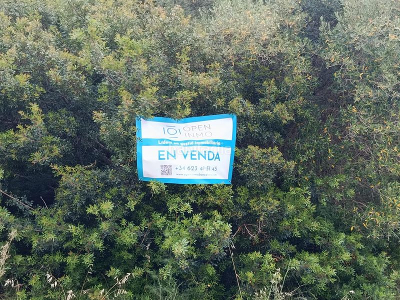 Foto a25c621c-fbb8-4be3-9615-f7aec77119ba. Terreny residencial a Olivella