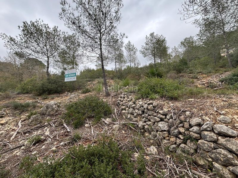 Foto b8c0f3b2-08b3-4b0e-9641-e4703a2533a9. Terreny residencial a Olivella