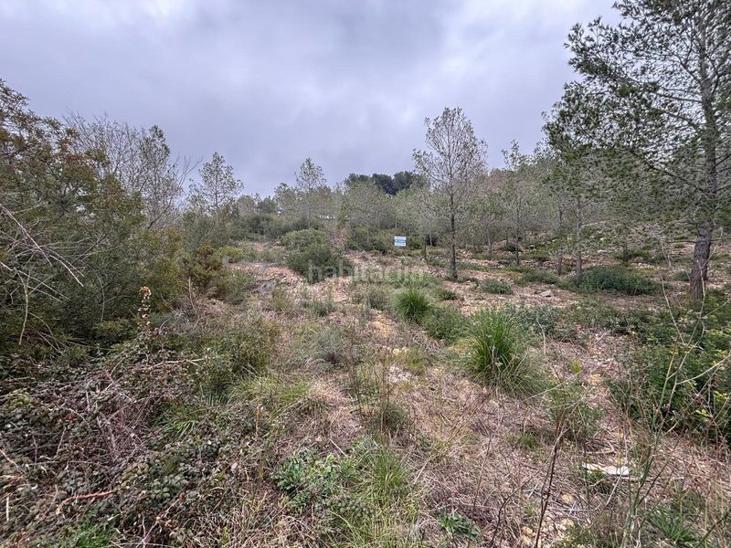 Foto d47cb292-eb0c-4ad9-b444-01df2a54af0d. Terreny residencial a Olivella