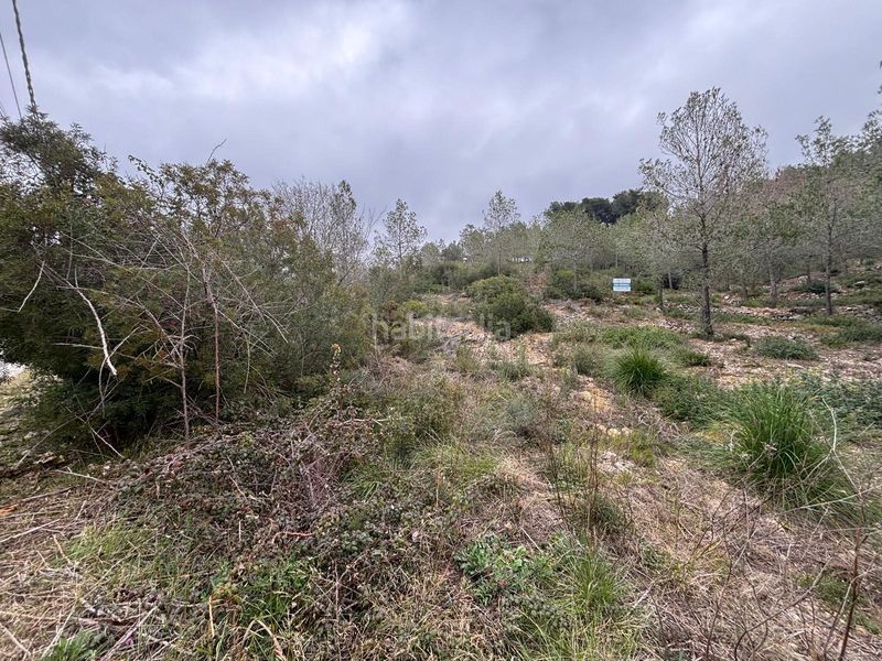 Foto d83a370f-11e2-468b-9c8c-9dd830038729. Terreny residencial a Olivella