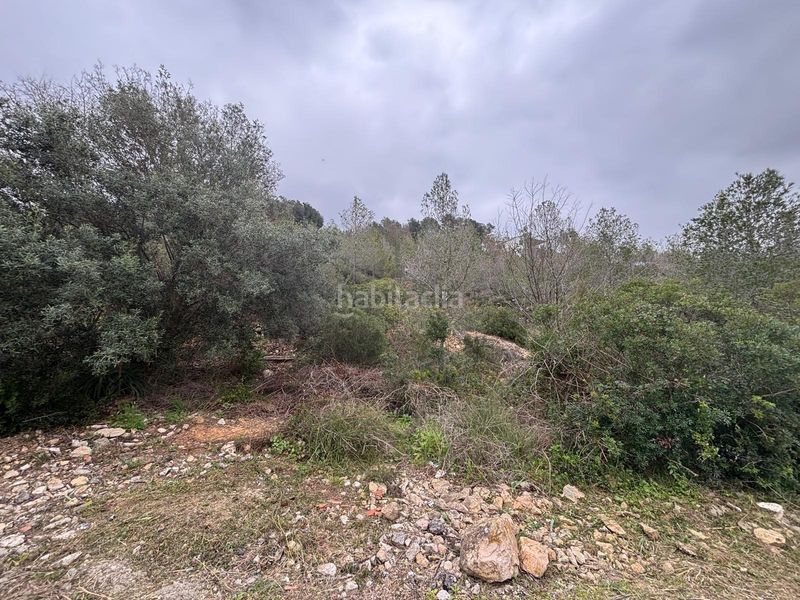 Foto dc611999-e50e-4eb9-b06a-03f177adb928. Terreny residencial a Olivella