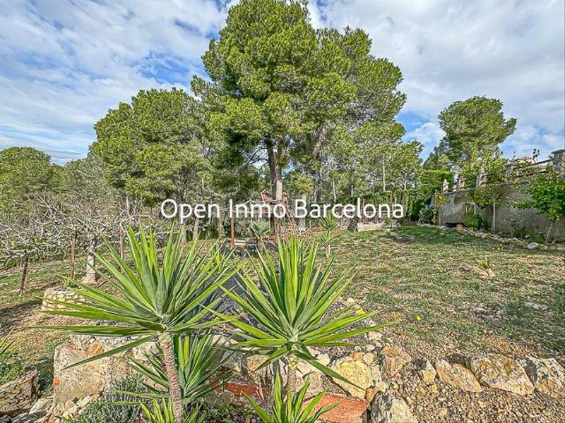 Foto 6fa3089e-08a0-458e-9243-72733029f376. Casa villa de lujo con parcela de 3200 metros en Olivella