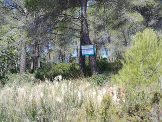 Terreny residencial a Olivella. Terreno de 841 m2 en can suria