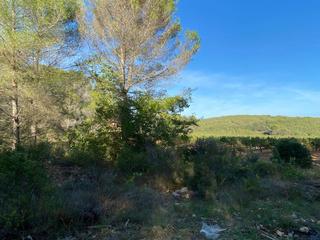 Terreny residencial a Olèrdola. Oportunidad enorme terreno en venta por 150.000
