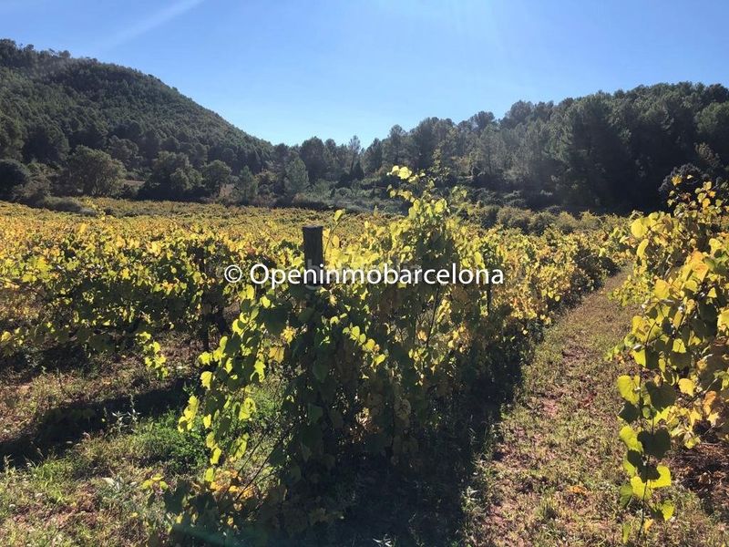 Foto 1892bcda-2438-4386-8e89-b5174ceb5385. Masia a Torrelles de Foix