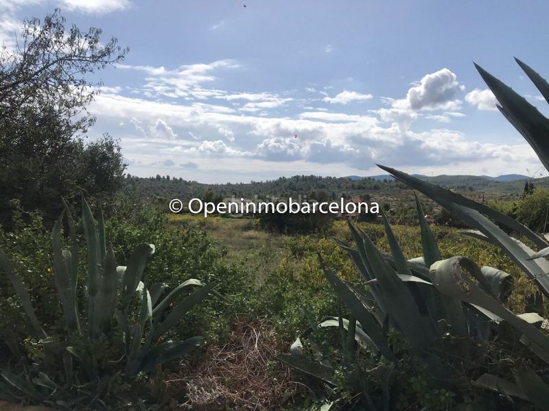 Foto 4882e498-e93c-4f99-bf26-8c401e5c326c. Masia a Torrelles de Foix