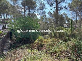 Terreny residencial a Olivella