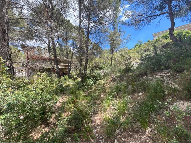 Foto 61c9da95-66e2-4468-a858-34aed1755ada. Terreny residencial a Mas Alba Sant Pere de Ribes