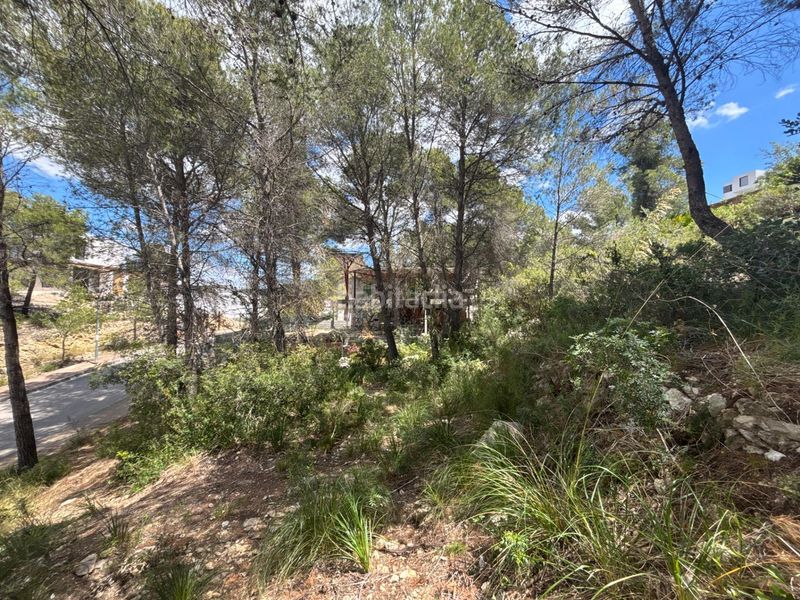 Foto 67512fa0-4a49-4ed0-acad-f2ae8ac692ed. Terreny residencial a Mas Alba Sant Pere de Ribes