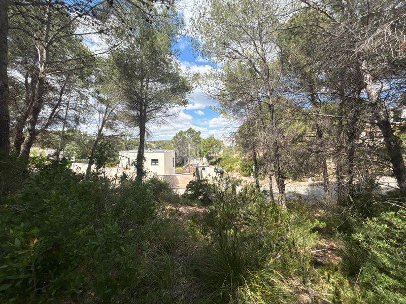Foto 681919e0-2976-4cd9-a519-46c7ccfd2158. Terreny residencial a Mas Alba Sant Pere de Ribes