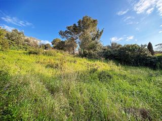 Wohngrundst�ck in Canyelles. Parcela en venta en canyelles