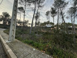 Terreny residencial a Olivella