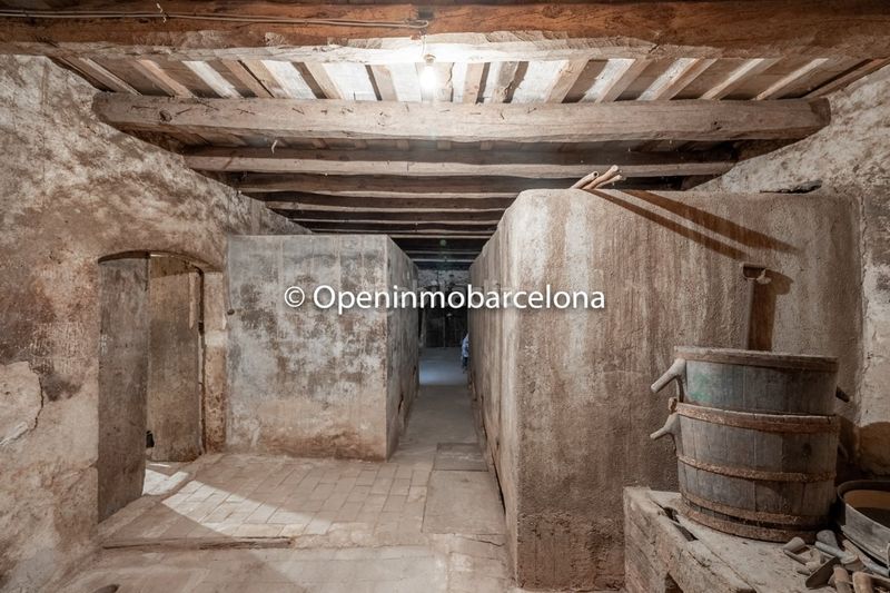 Foto 3d098d96-9816-4502-b2bc-3c7a67eeb119. Casa a Puig Moltó - Can Macià Sant Pere de Ribes
