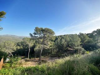 Terrain résidentiel à Can Lloses - Can Marcer. Parcela en venta sant pere de ribes
