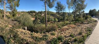 Terreny residencial a Olivella. Parcela en olivella con bonitas vistas