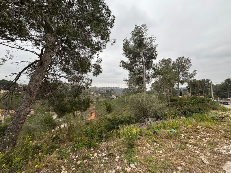 Foto 12ad280f-984c-438c-85db-8bbdce00780f. Terreny residencial a Olivella