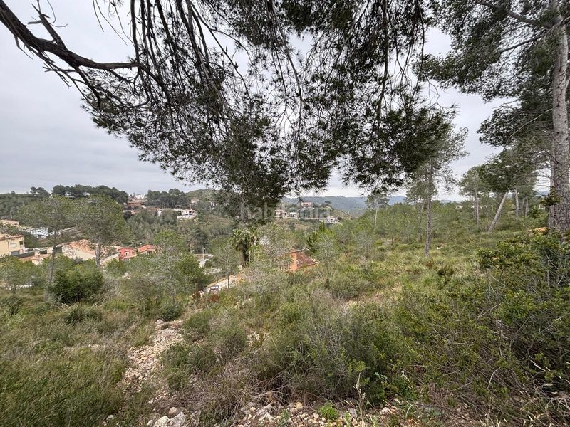 Foto 238474c9-4168-4a9f-ad27-0f56a1bed81a. Terreny residencial a Olivella