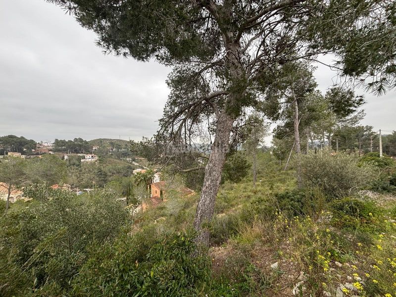 Foto 33459d78-499f-4afd-9fe3-b7ba865d31e2. Terreny residencial a Olivella