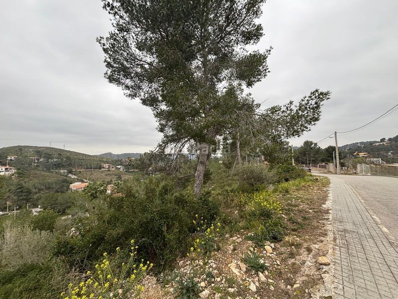 Foto 4617066c-435b-4bfd-809b-6e0c6acce3f6. Terreny residencial a Olivella