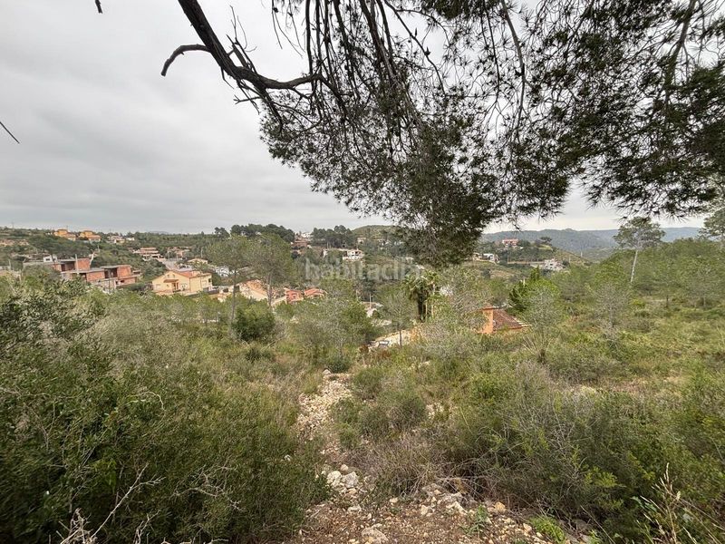 Foto 4aafe992-3111-43b7-94b0-343c7c6fdfb0. Terreny residencial a Olivella