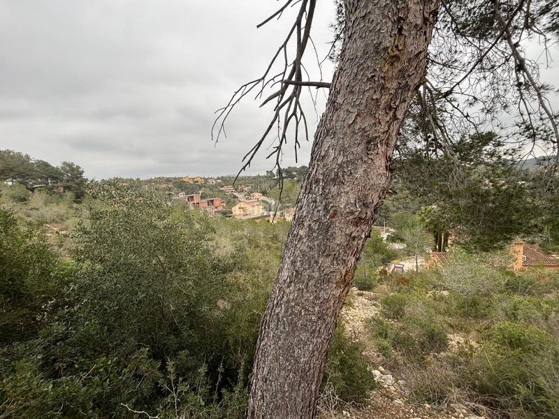 Foto 4ff798b2-5726-4f76-8089-e3f02feb61e6. Terreny residencial a Olivella