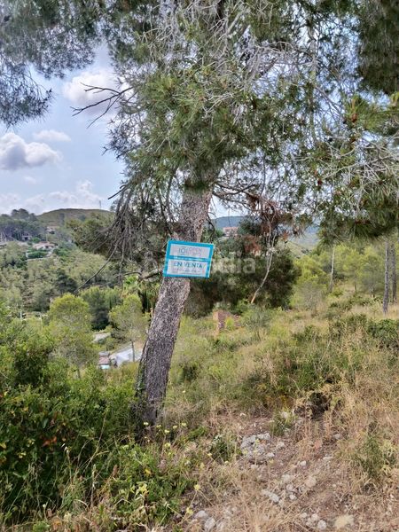 Foto 7a468455-ed4c-4bd8-b0be-bb3e6683ebf5. Terreny residencial a Olivella