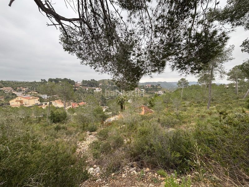 Foto 9f5684b4-25b1-40ab-b8ee-a51ecc9bfe8a. Terreny residencial a Olivella