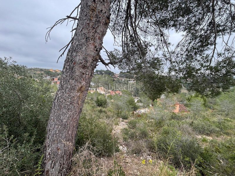 Foto c0438efe-40f3-4155-acee-f970dc9f64ed. Terreny residencial a Olivella