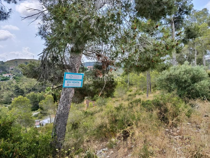Foto d6d57a59-b338-4193-ab5b-a2d7b43c3db7. Terreny residencial a Olivella