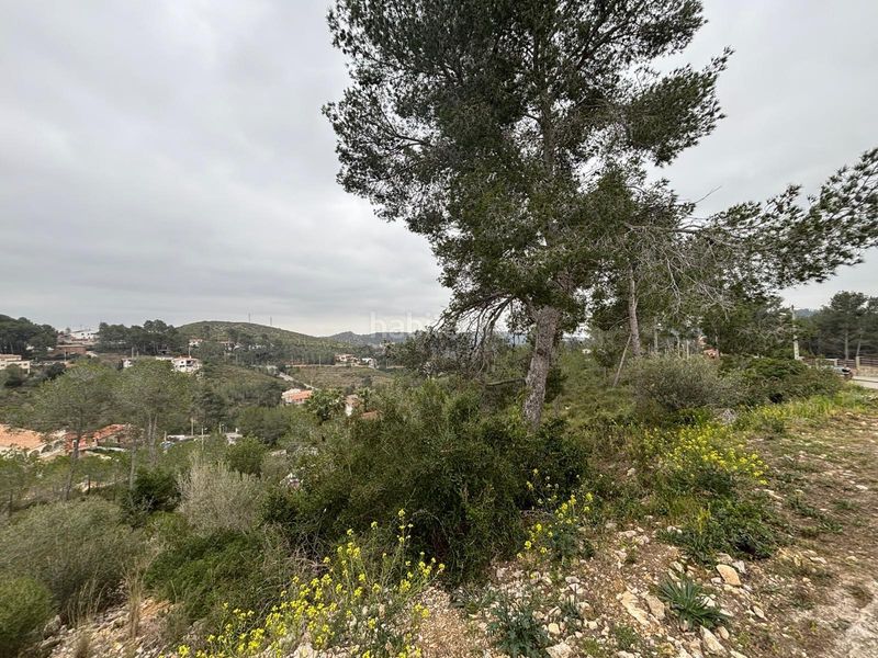 Foto e6ffd4c9-6456-4541-a3a9-547150d749d1. Terreny residencial a Olivella