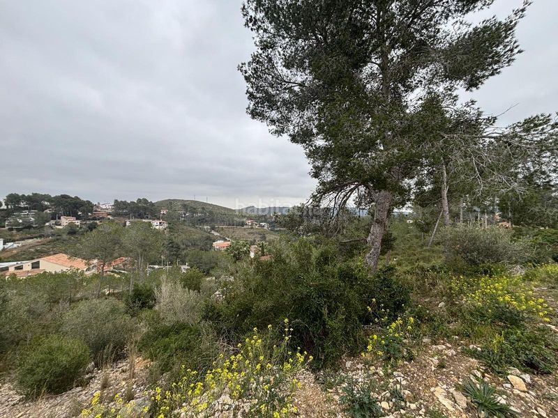 Foto e7be806b-16c6-420b-9404-ec516e80ab71. Terreny residencial a Olivella