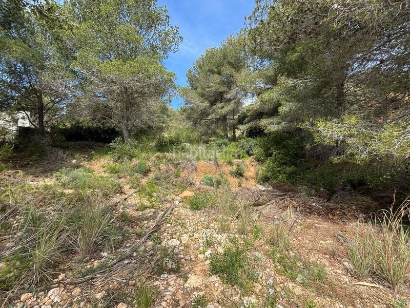 Foto 4c1e1512-5242-4324-aa24-90a4f62f7a2a. Wohngrundstück in Mas Alba Sant Pere de Ribes