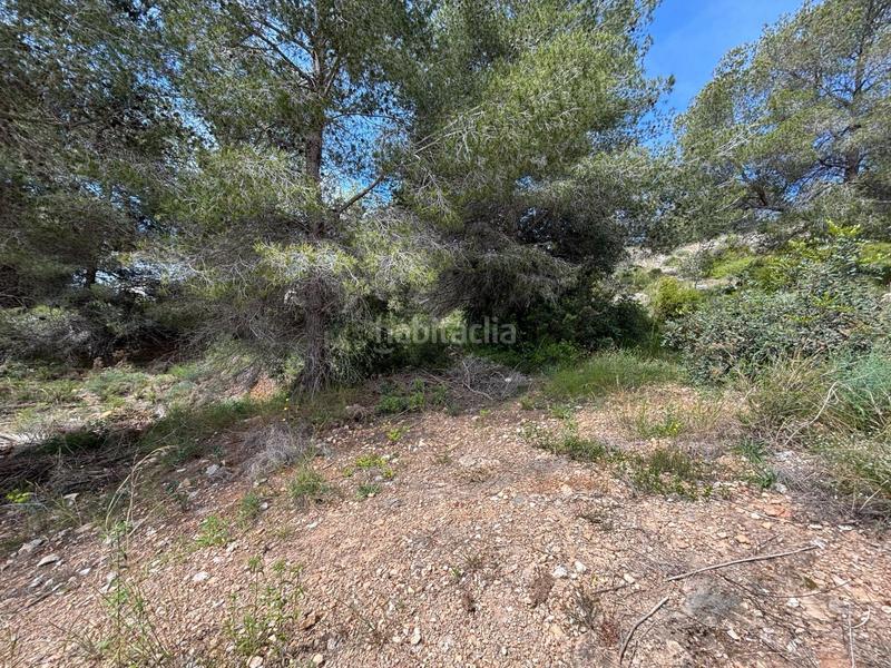 Foto d83ab9ac-245b-4901-a105-afc86c64cda7. Wohngrundstück in Mas Alba Sant Pere de Ribes