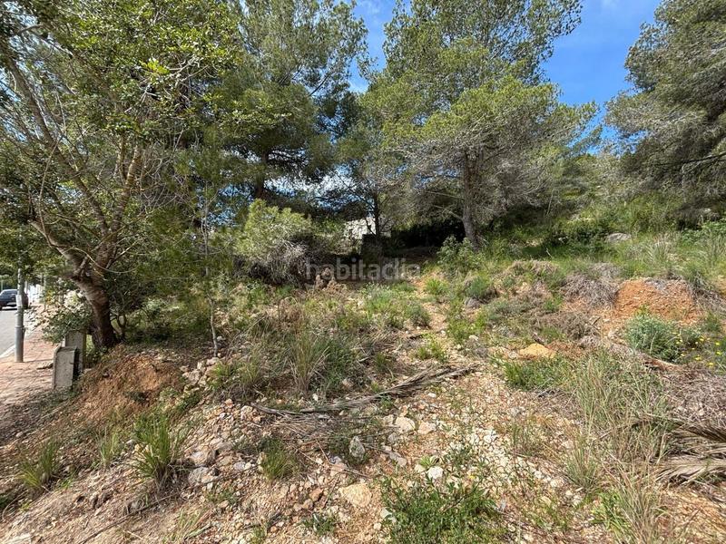 Foto d8c41960-888a-411a-b007-f5b1e1496e00. Wohngrundstück in Mas Alba Sant Pere de Ribes