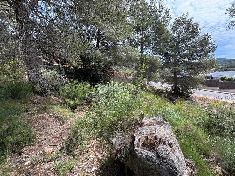 Foto f89faea1-0497-4660-a096-61a4d8a08f9e. Wohngrundstück in Mas Alba Sant Pere de Ribes
