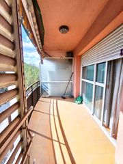 Pis a Sant Joan Baptista